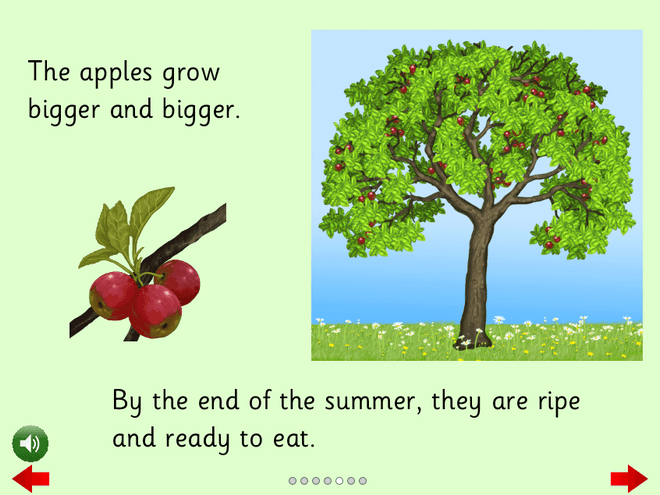 Screenshot from Seasons of an Apple Tree - Read a Book
