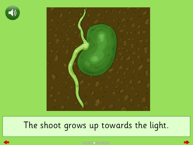 Screenshot from Plant Life Cycle - Read a Book