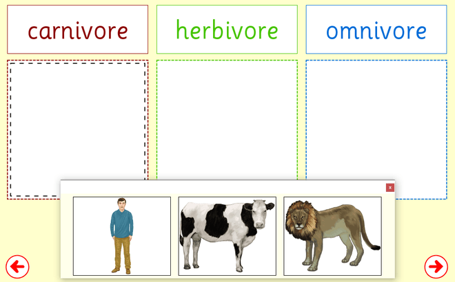 Screenshot from Carnivore, Herbivore, Omnivore - Sorting