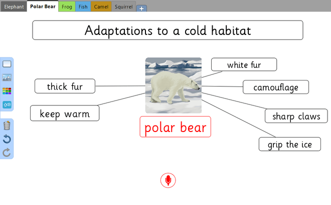 Screenshot from Animal Adaptations Mind Maps