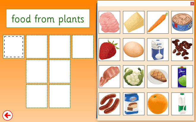 Screenshot from Food from Plants or Animals - Sorting