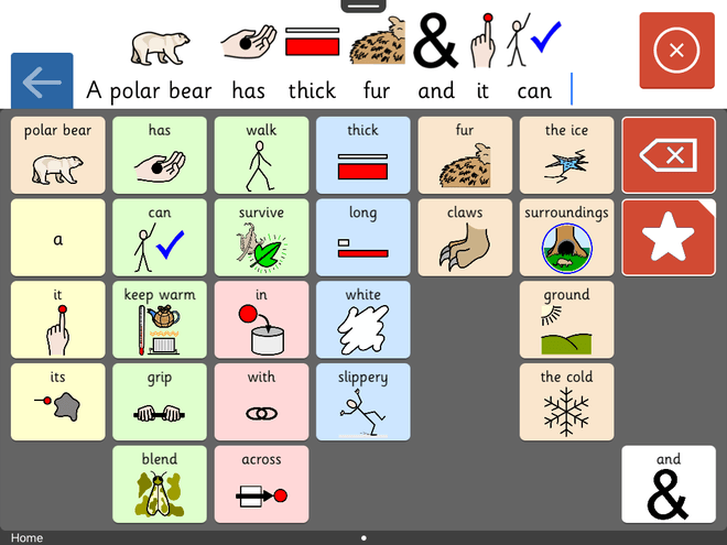 Screenshot from Animal Adaptations - Polar Bear