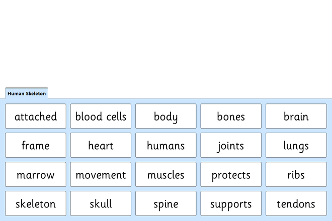 Screenshot from Human Skeleton - Quick Words