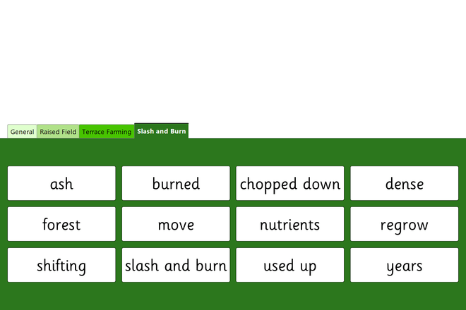 Screenshot from Ancient Maya Farming Methods