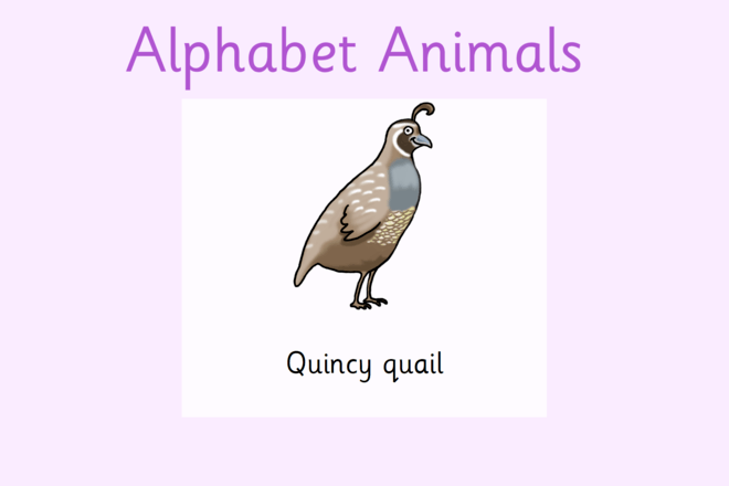 Screenshot from Quincy Quail