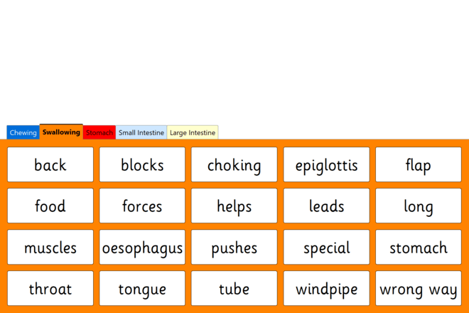 Screenshot from Human Digestion
