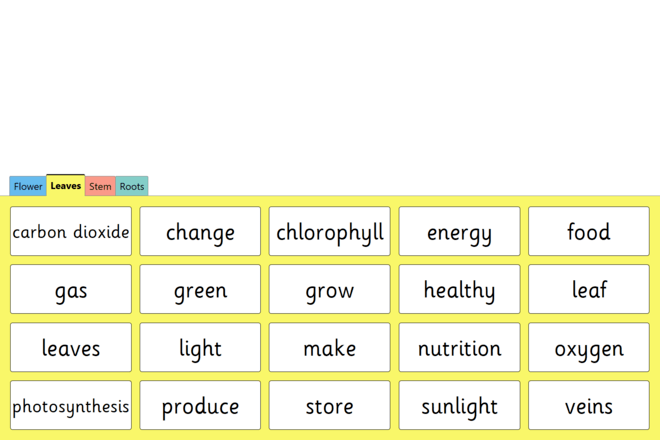 Screenshot from Parts of a Plant