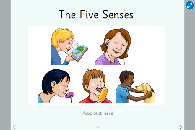 Screenshot from The Five Senses - Make a Book One