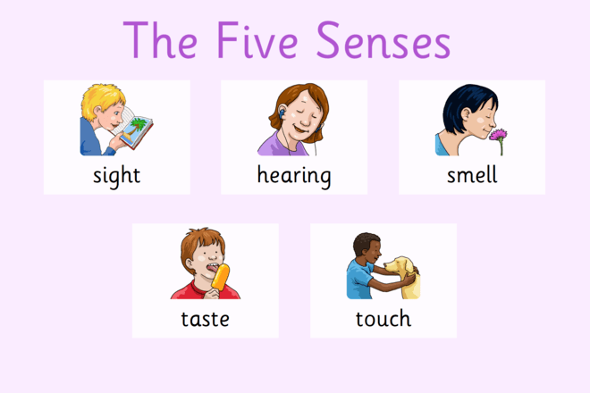 Screenshot from The Five Senses