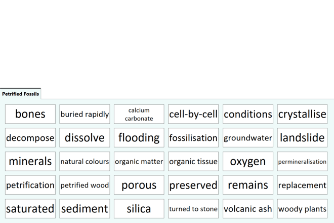 Screenshot from Petrified Fossils - Quick Words