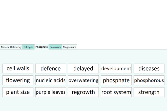 Screenshot from Mineral Deficiency in Plants